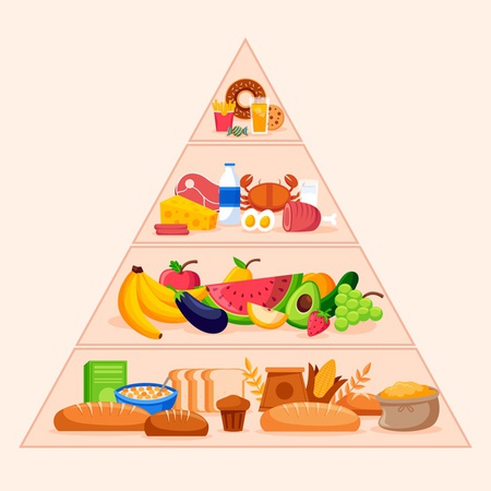 Food Pyramid Concept